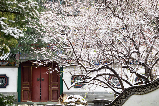 北京雪景风光