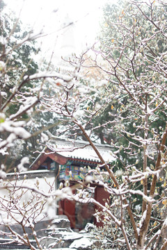 北京雪景风光