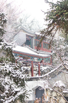 北京雪景风光