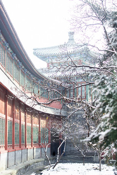 北京雪景风光