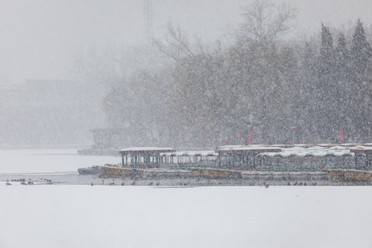 北京什刹海雪景