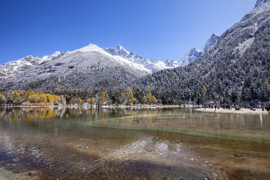 川西高原雪山风光