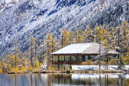 川西高原雪山风光