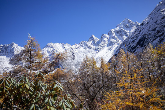 川西高原风光