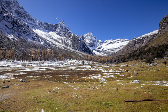 高原雪山