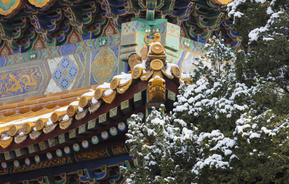 北京故宫御花园雪景