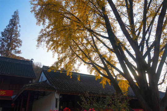 栖霞寺