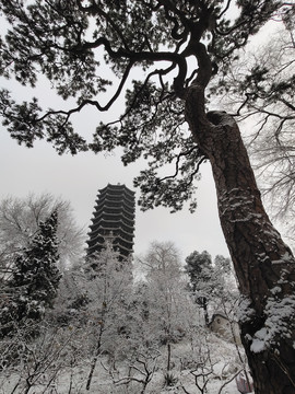 北京大学博雅塔