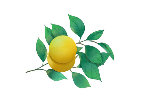 手繪水果橙子