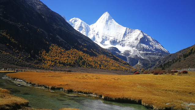 稻城亚丁秋天风景