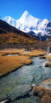 稻城亚丁秋天风景