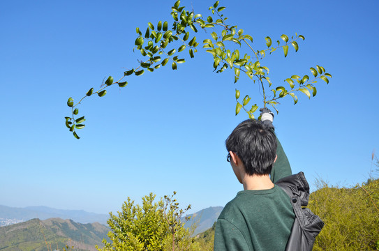 登高望远