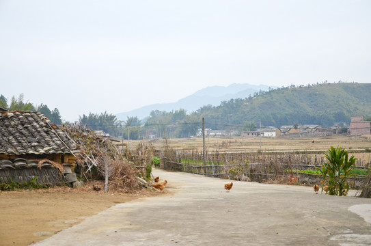 水泥路