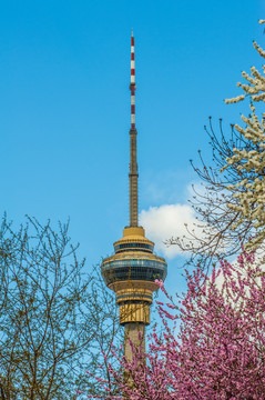 北京春暖花开