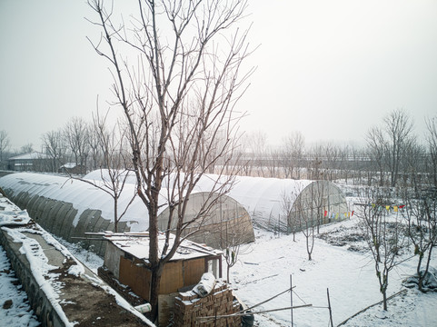 農(nóng)村雪景
