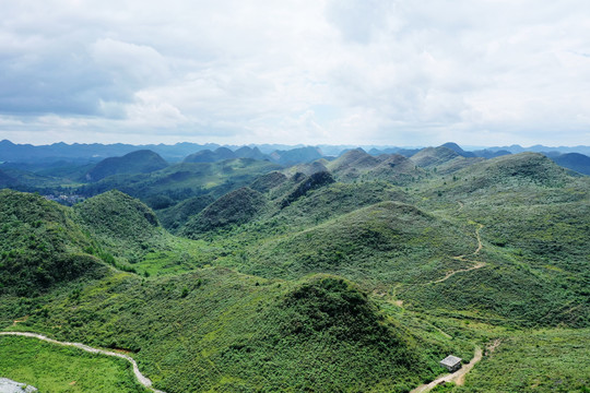 原野