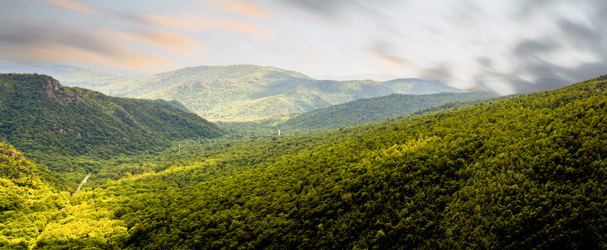 青山