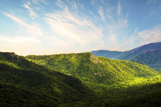 青山