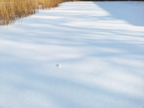 雪影