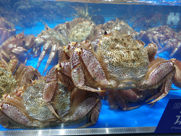 超市海鲜活蟹