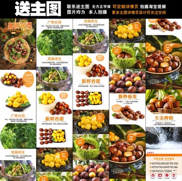 板栗詳情頁