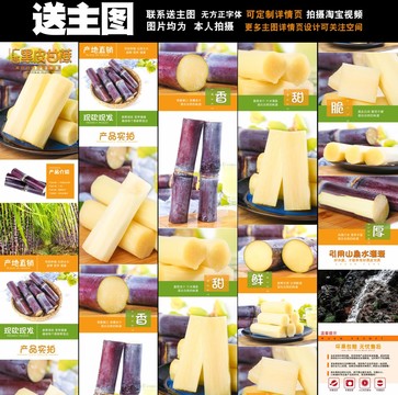 甘蔗