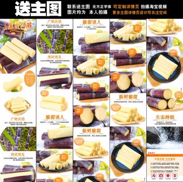 甘蔗詳情頁