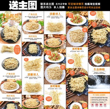 魚腥草