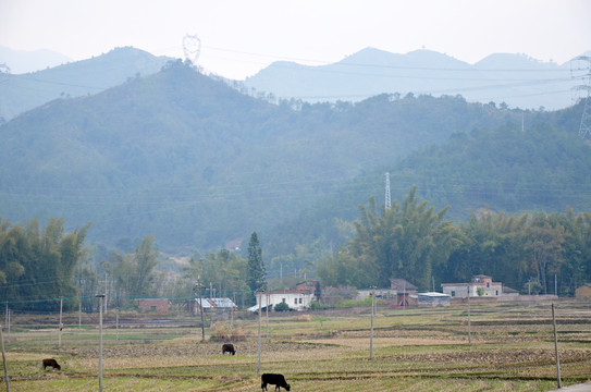 广东农村