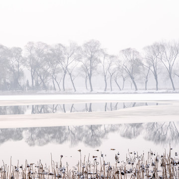 湖水雪景