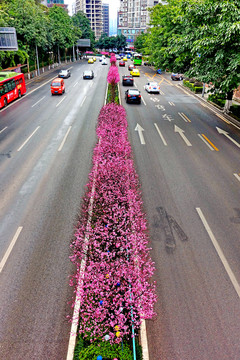 鲜花大道