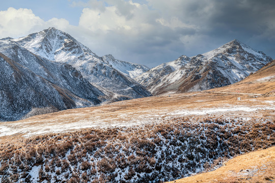 甘肃祁连山雪山