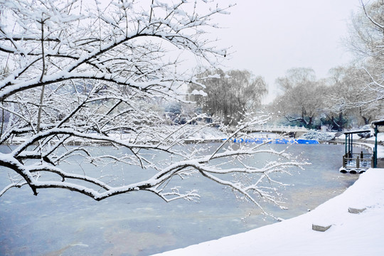 雪景