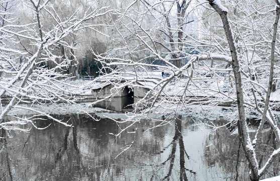 雪景