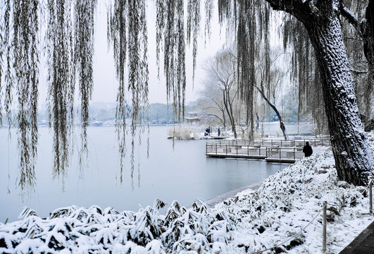 雪景