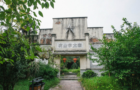 杭州西溪濕地