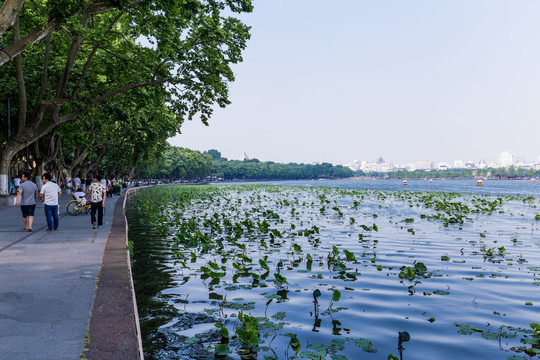 西湖风景