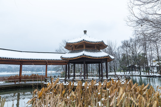 杭州西湖雪景