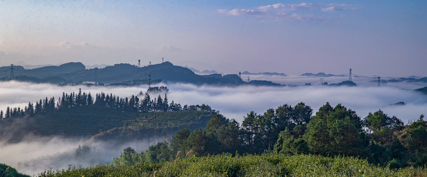 重庆南川云雾绘就山乡生态画