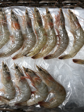 生鲜海虾