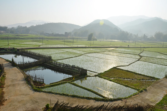 农村早晨