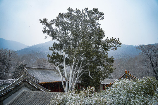 潭柘寺雪景大山古建筑雪景