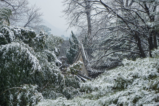 潭柘寺雪景大山古建筑雪景