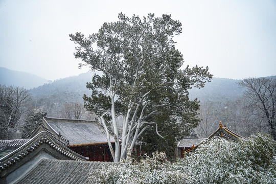 潭柘寺雪景大山古建筑雪景