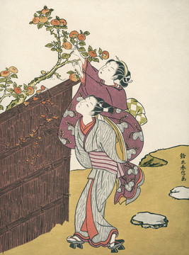 鈴木春信摘柿子
