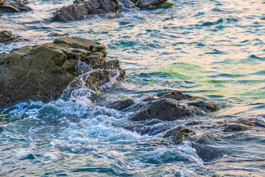 礁石海水