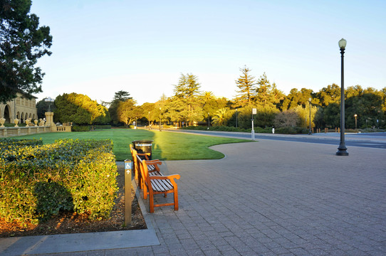 美国加州旧金山斯坦福大学