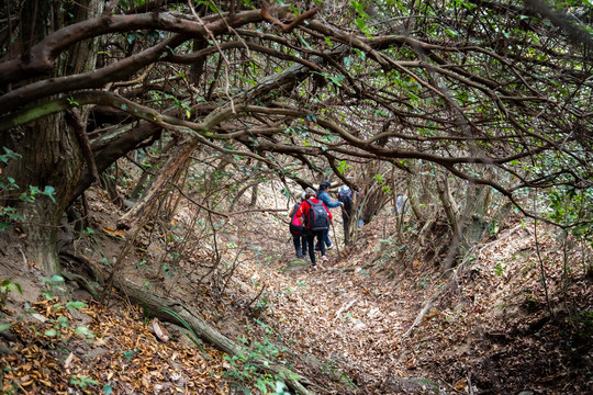 登山