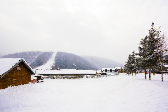 雪村