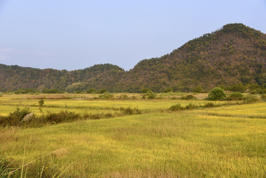 田园风光